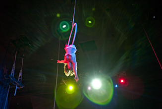 Trapeze Artist