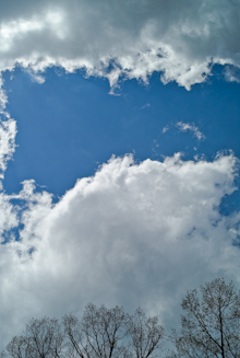 Trees and Clouds