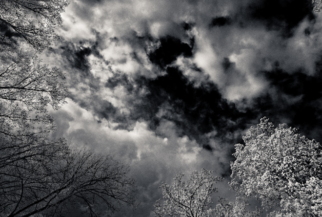 Trees and Clouds