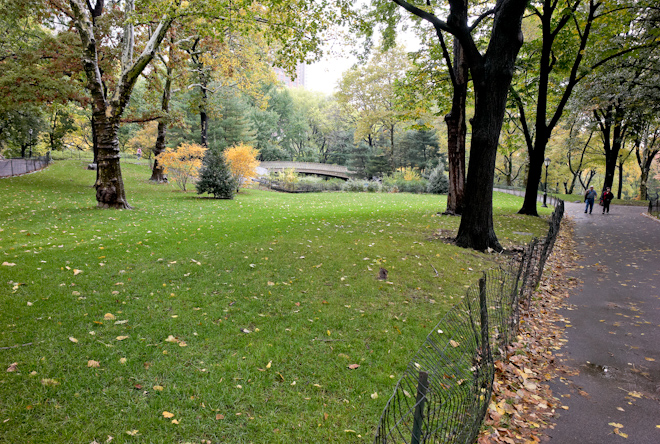 Central Park