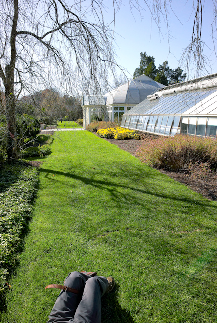 Garden Path