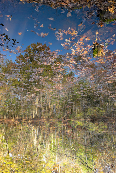 Surreal Landscape