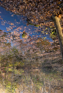 Surreal Landscape