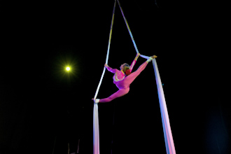 Trapeze Artist
