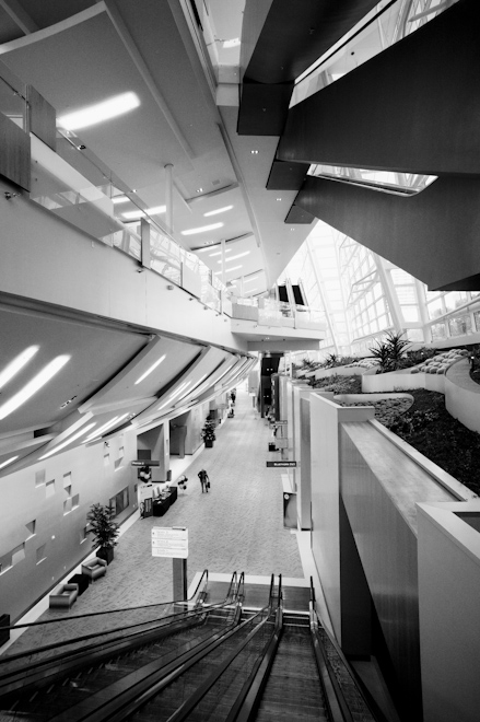 View from Aria Escalator