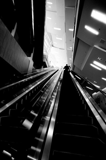 Aria escalator