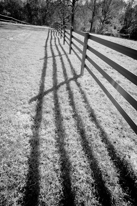 Fence Shadow