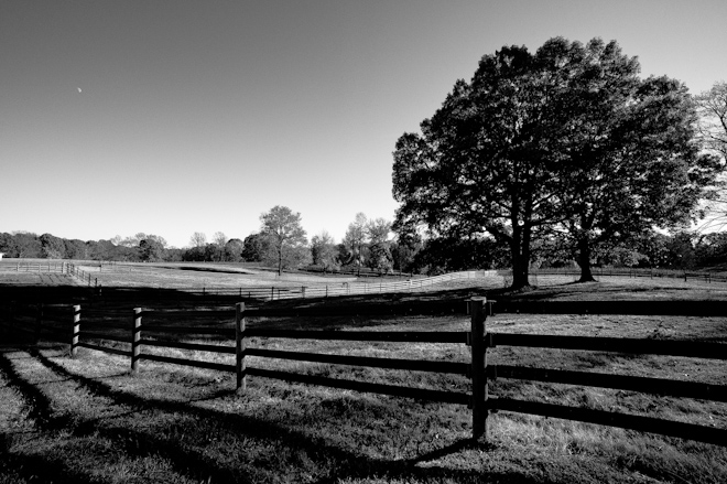 Farm Scene