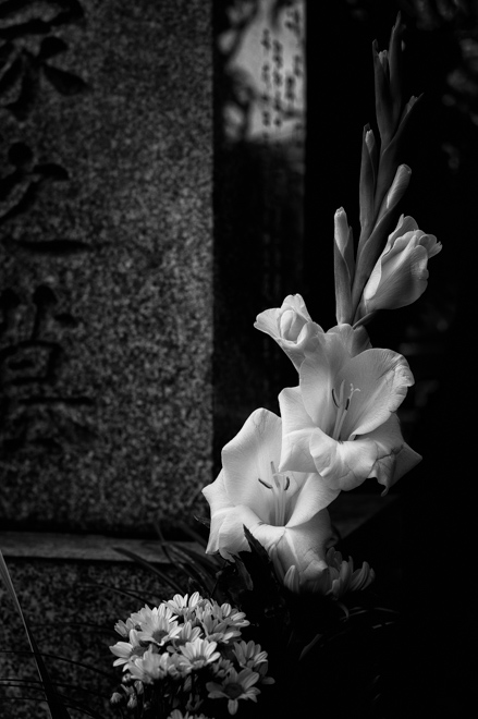 Aoyama Cemetery