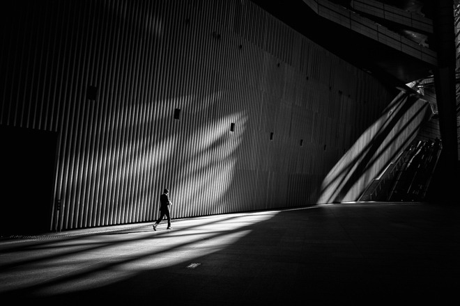 Tokyo Shadows