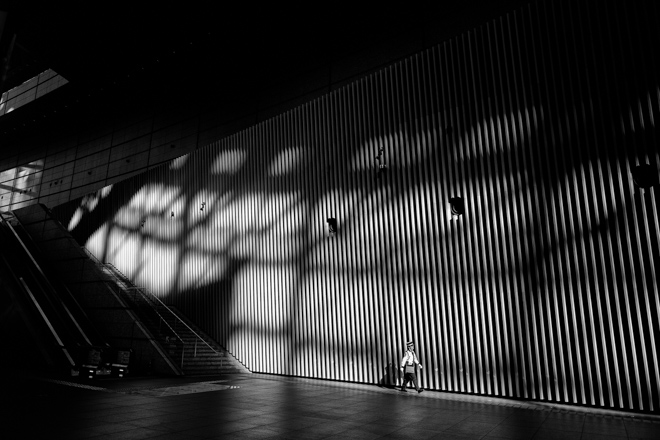 Tokyo Shadows