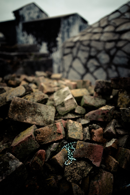 New Orleans Cemetery