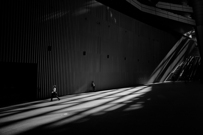 Tokyo Shadows