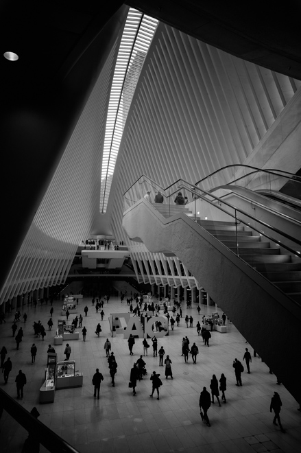 Oculus
