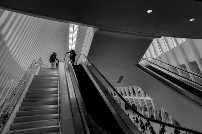 Oculus