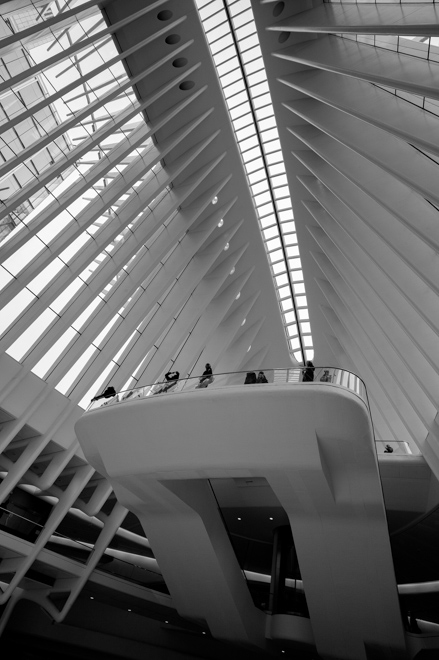 Oculus