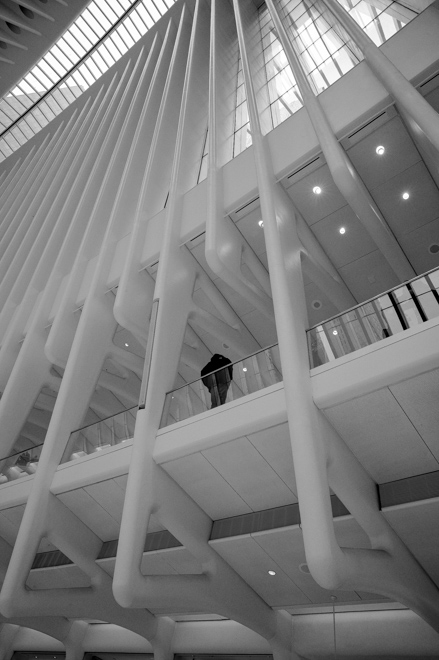 Oculus