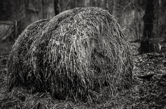 Hay Bale