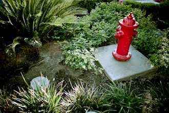 Red Hydrant