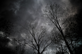 Trees and Clouds