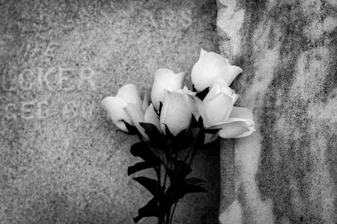 New Orleans Cemetery