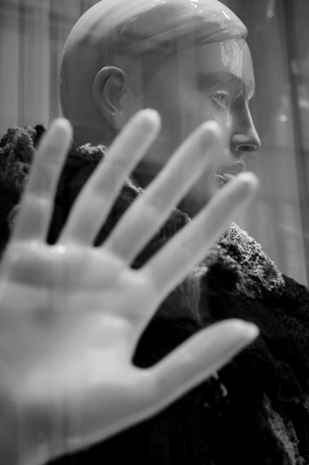 Cologne Store Window