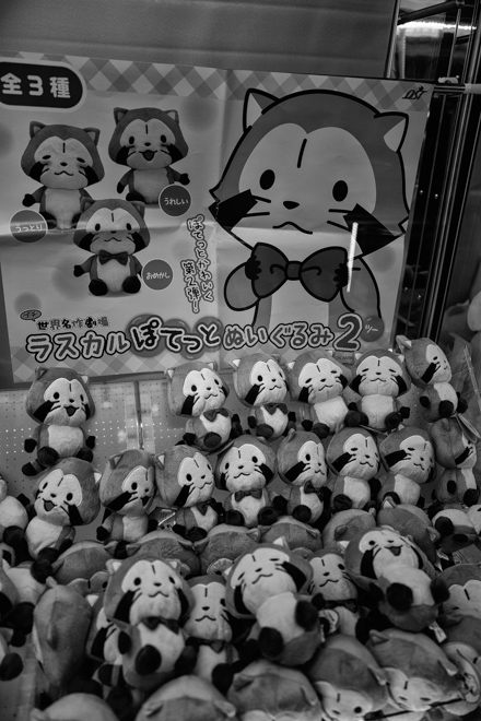 Akihabara Store