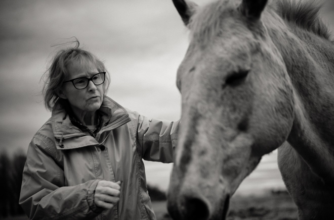 Horse